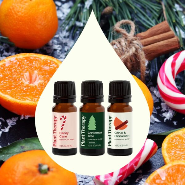 Holiday Delights Essential Oil Blend 3 Set - Image 3