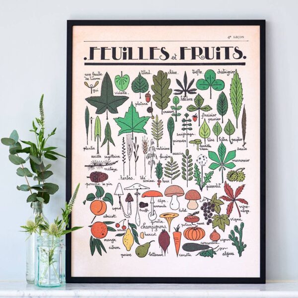 Roomytown Inc - Feuilles et Fruits Fine Art Print - Image 2
