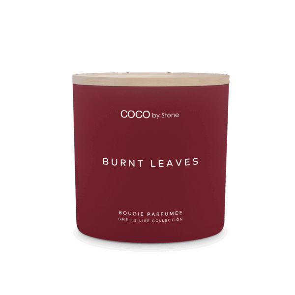 ENVIRONMENT - 15oz Smells Like Burnt Leaves Candle