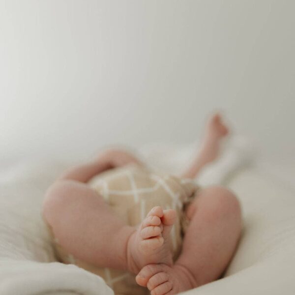 Bamboo Zip Shortie | Grid: 12-18 Months - Image 18