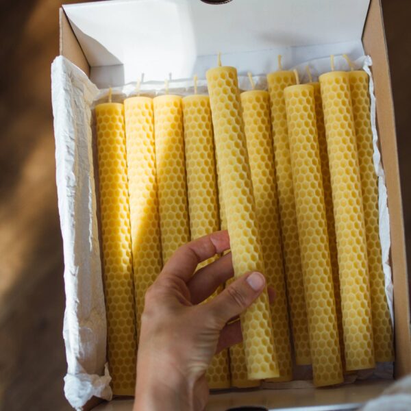 Goldrick Natural Living - Honeycomb Beeswax Dinner Candles - Image 9