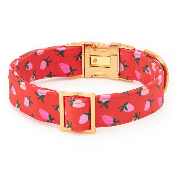 Berry Sweet Valentine's Day Dog Collar: S / Gold - Image 2