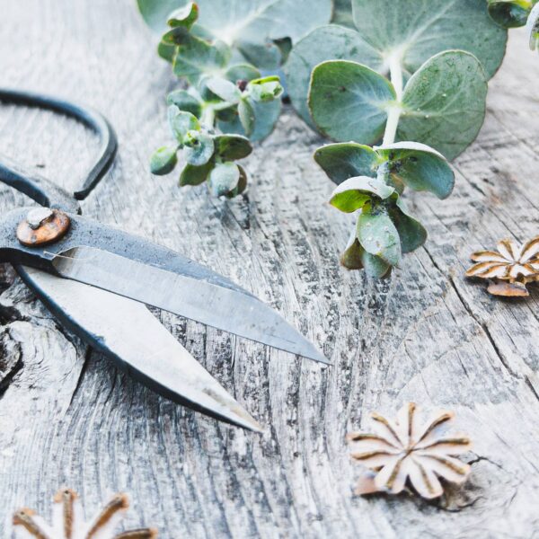 Seattle Seed Co. - Forged Steel Pruning Shears - Image 3
