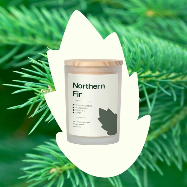 Northern Fir Naturally Scented Candle 8oz - Image 3