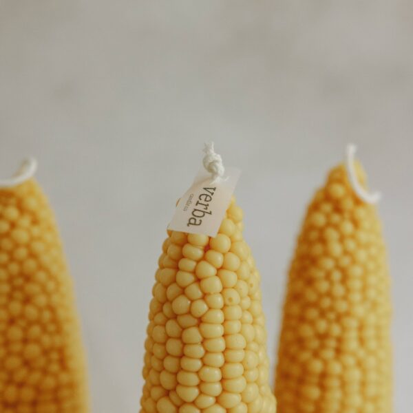 Corn cob pillar candle, 1pc corn, Pumpkin Chai