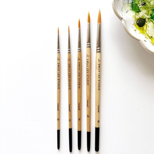 Watercolor paintbrush: 6