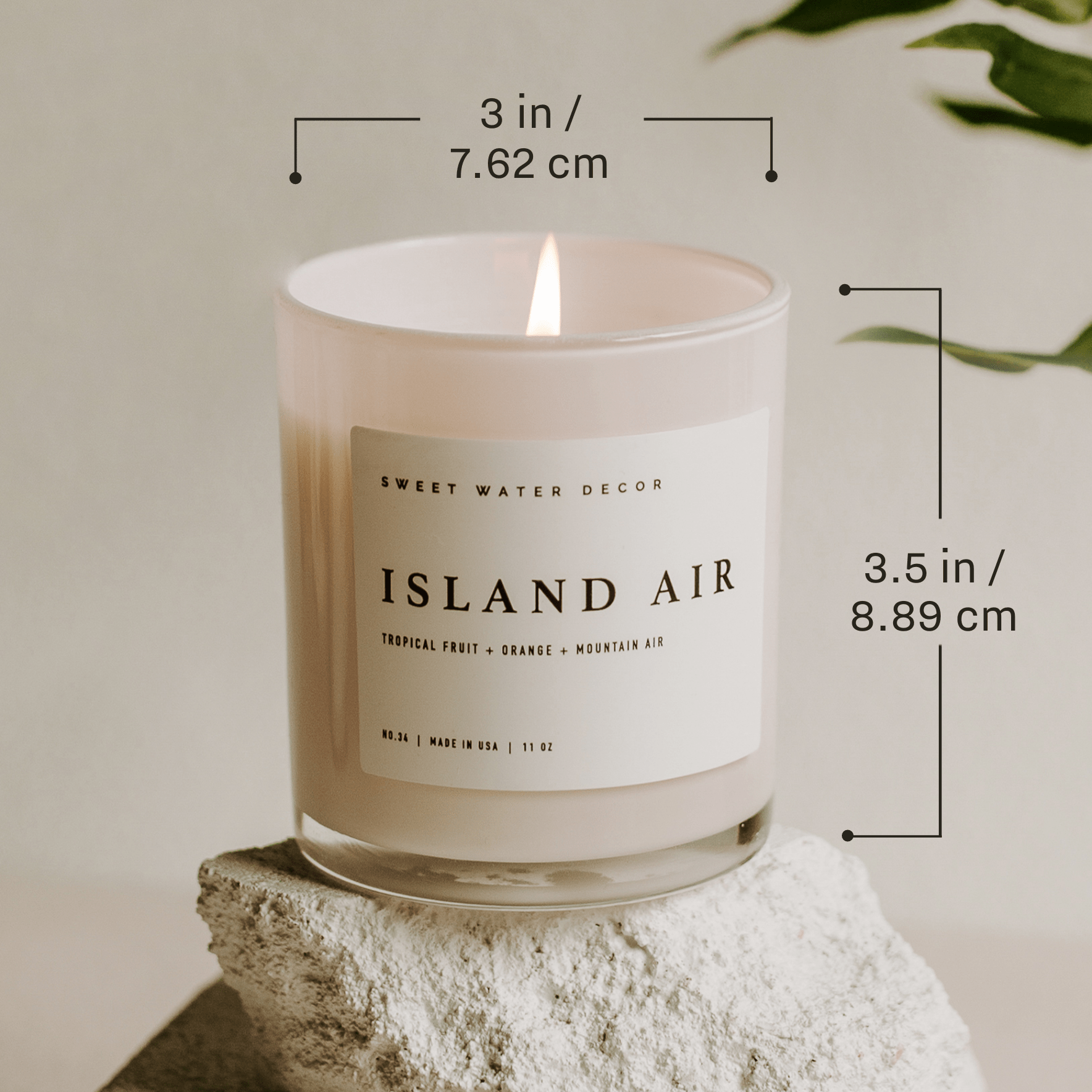 Farmer's Market 11 oz Soy Candle