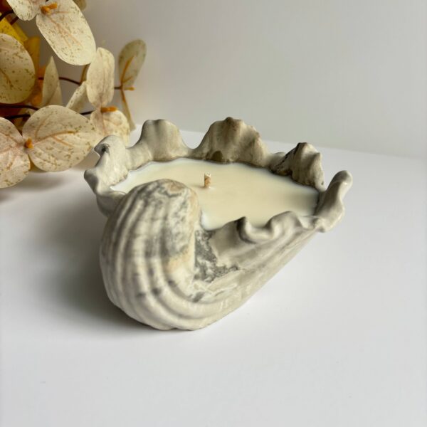 Selene Shell - Concrete Shell Bowl-Dish | Coastal Decorative: Earth Fusion - Image 6