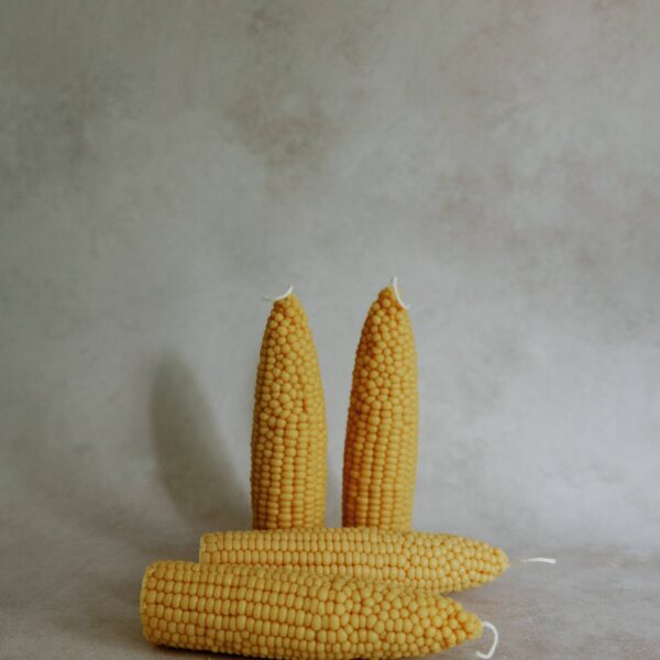 Corn cob pillar candle, 1pc corn, Pumpkin Chai - Image 2