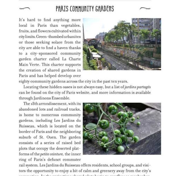 Simon & Schuster - My Paris Market Cookbook  by Emily Dilling - Image 4