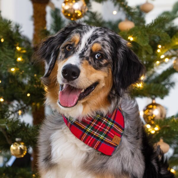 Tartan Plaid Flannel Holiday Dog Bandana: Small - Image 2