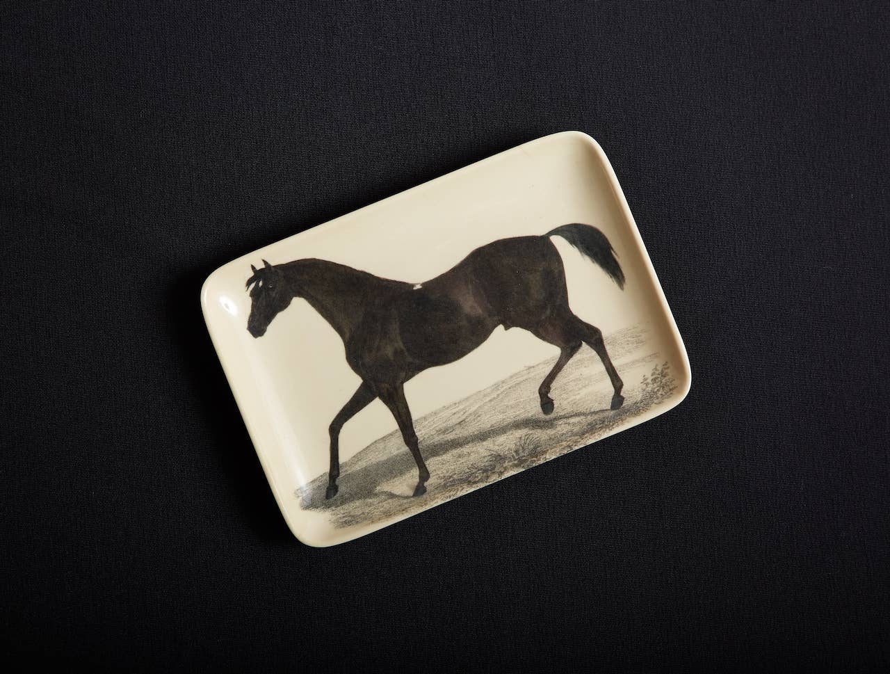 Siren Song - Stallion Valet Tray - Image 2