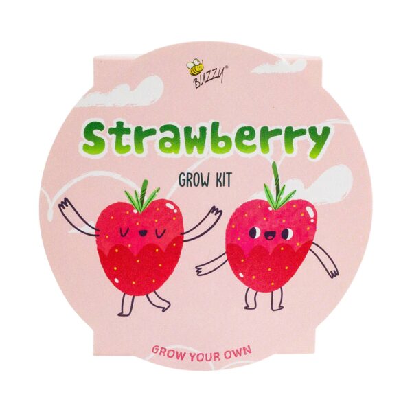 Buzzy Seeds Kids Mini Basin - Strawberry Grow Kit - Image 2