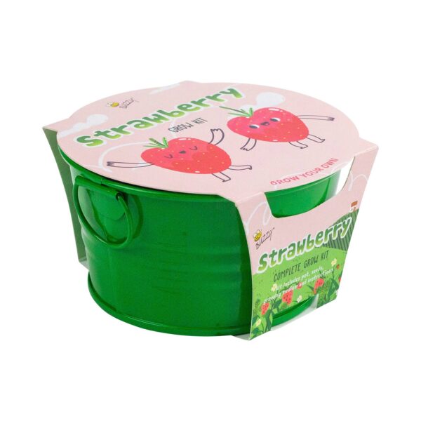 Buzzy Seeds Kids Mini Basin - Strawberry Grow Kit - Image 4