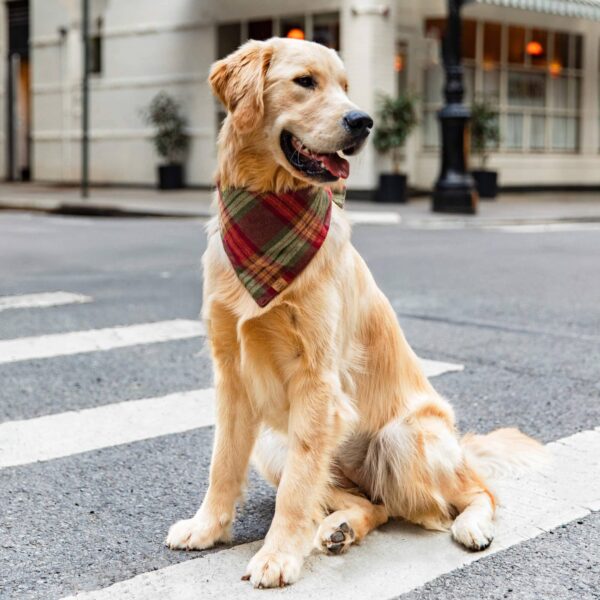 Orchard Plaid Flannel Dog Bandana: Medium - Image 2
