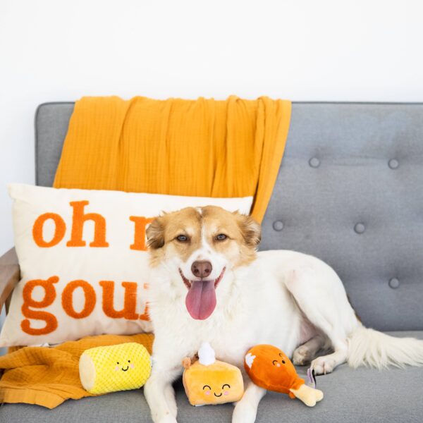 Thanksgiving Dinner Fall Dog Toys, Set of 3 - Image 2