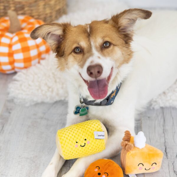 Thanksgiving Dinner Fall Dog Toys, Set of 3 - Image 3