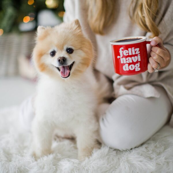 Holiday Feliz Navidog Mug, Christmas Kitchen Decorations - Image 5