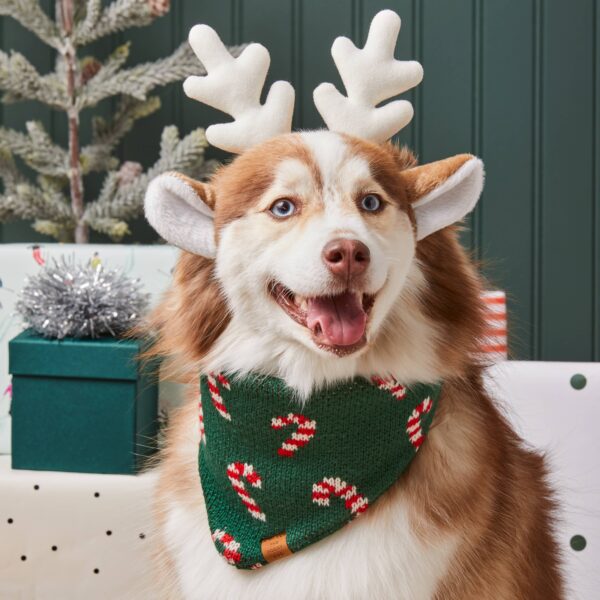 Candy Cane Knit Holiday Dog Bandana: Small - Image 4