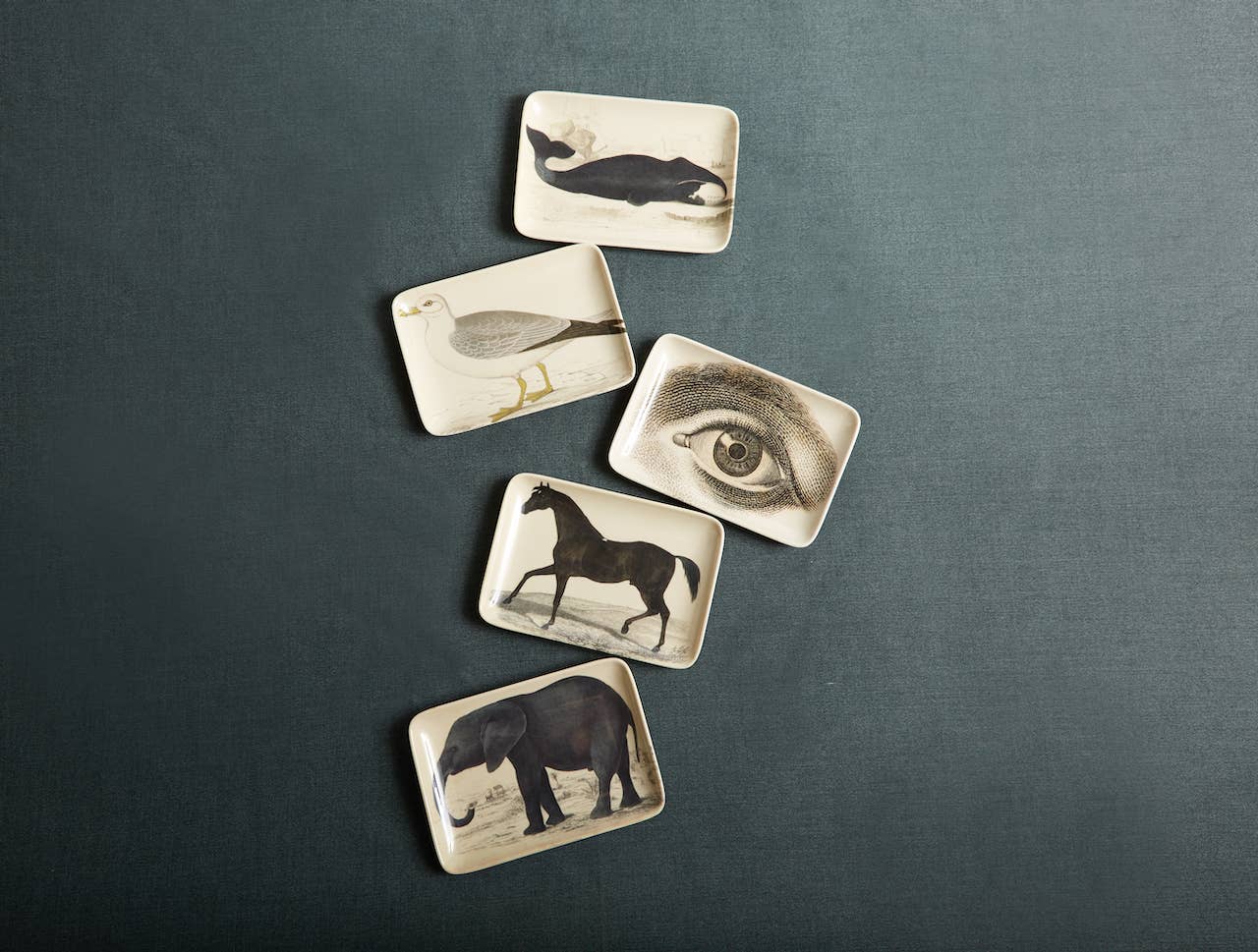 Siren Song - Stallion Valet Tray - Image 4