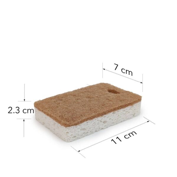 EcoFreax - Walnut and Cellulose Biodegradable Scrubber Sponge - Image 5
