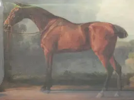 Siren Song - Thoroughbred Valet Tray