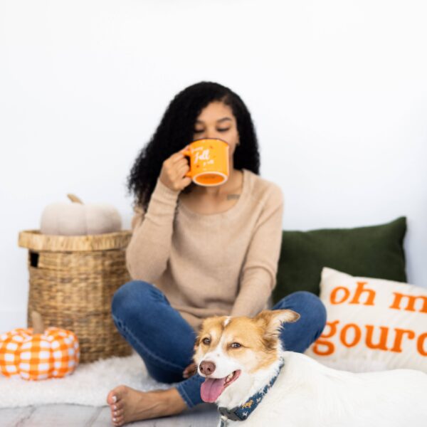 Thanksgiving Dinner Fall Dog Toys, Set of 3 - Image 4