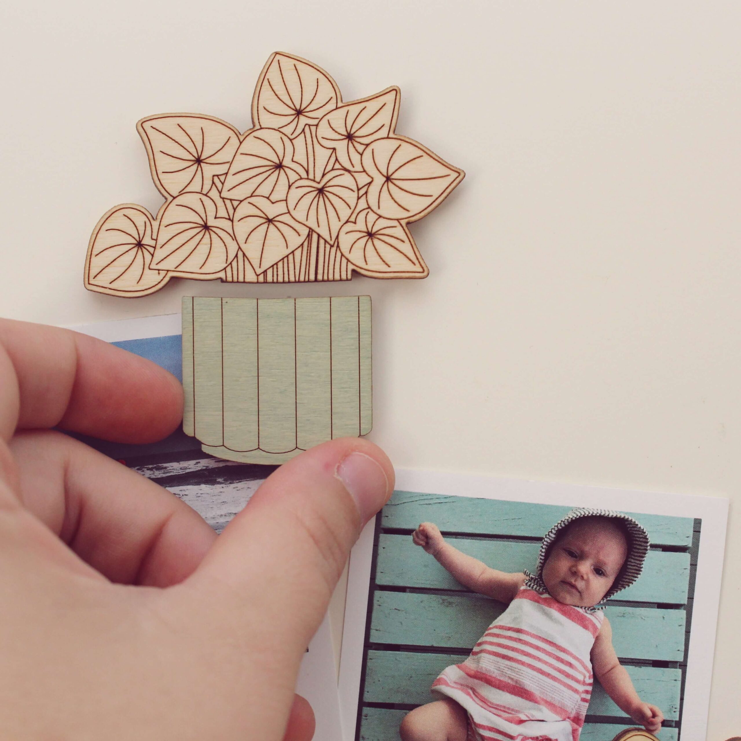 Wood House Plant Magnets | Alocasia Polly | Plant Lover Gift - Image 4