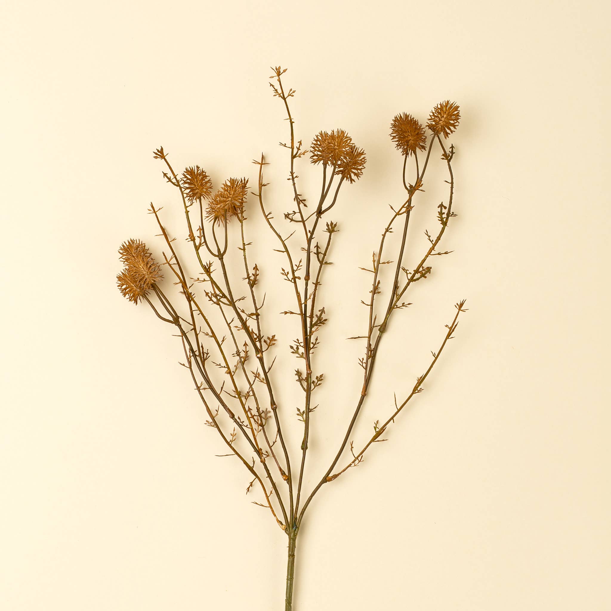 Wispy Twig Spray