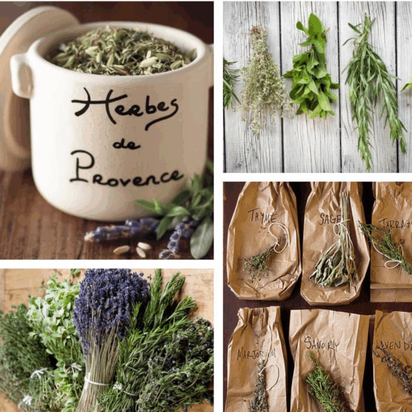 Gourmet Food Solutions, Inc. - Herbs de Provence in a handmade crock | Anysetiers du Roy - Image 6