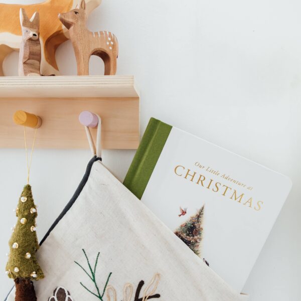 Our Little Adventure at Christmas (Baby's first Christmas) - Image 6