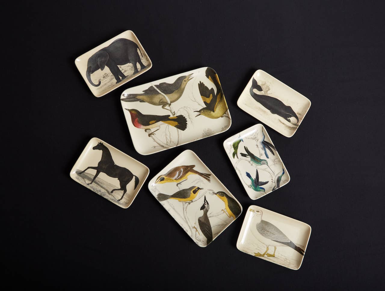 Siren Song - Stallion Valet Tray - Image 3