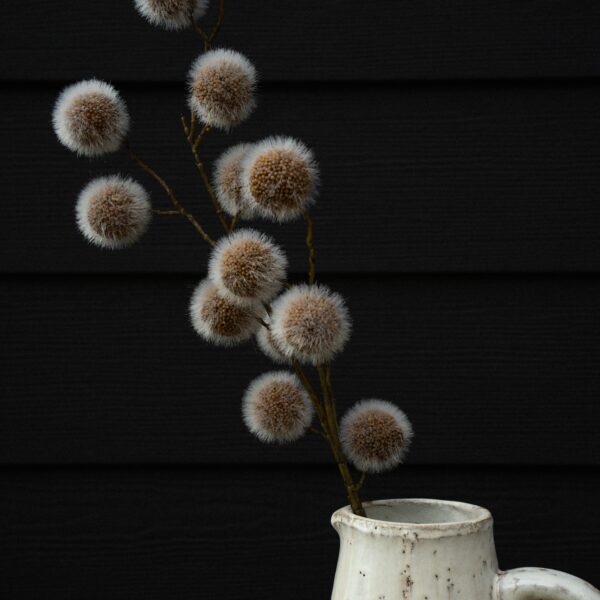 Sycamore Pod Spray - Image 4