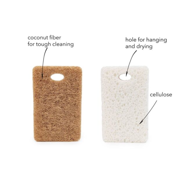 EcoFreax - Walnut and Cellulose Biodegradable Scrubber Sponge - Image 4