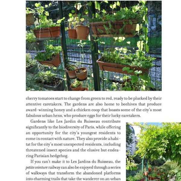 Simon & Schuster - My Paris Market Cookbook  by Emily Dilling - Image 5