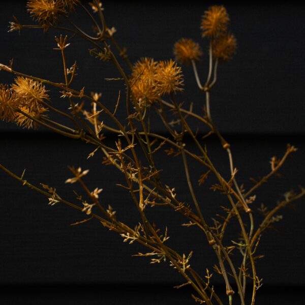 Wispy Twig Spray - Image 4