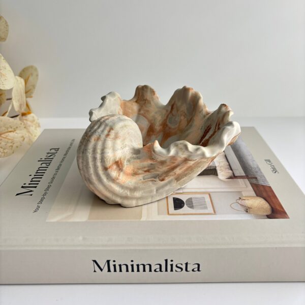Selene Shell - Concrete Shell Bowl-Dish | Coastal Decorative: Earth Fusion - Image 4