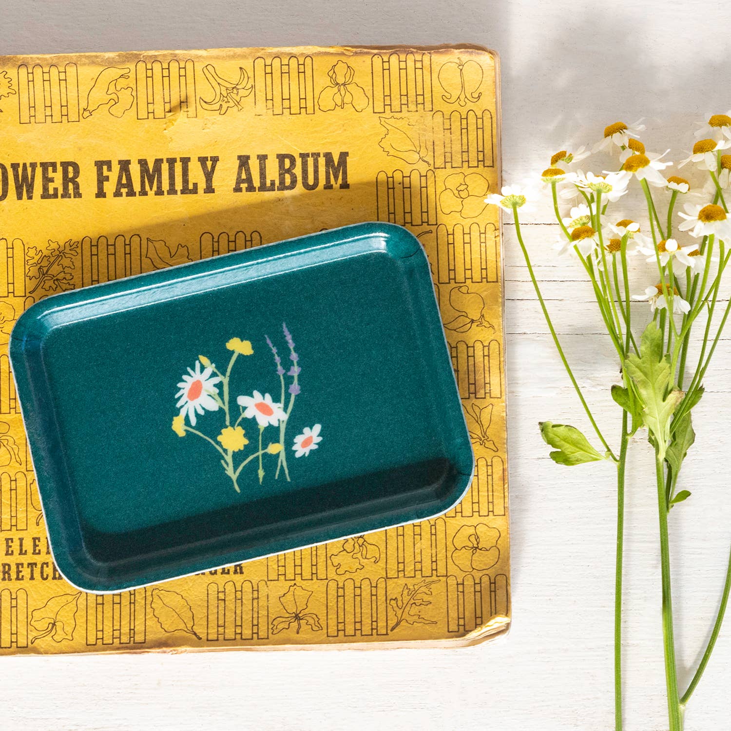 Three Potato Four - Small Trinket Tray - Prairie - Image 2