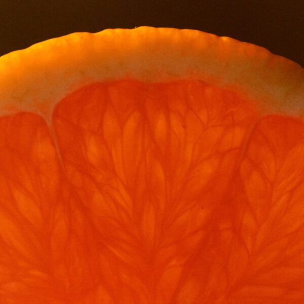 Marmalade Grove - Cara Cara & Hibiscus Marmalade - Image 3