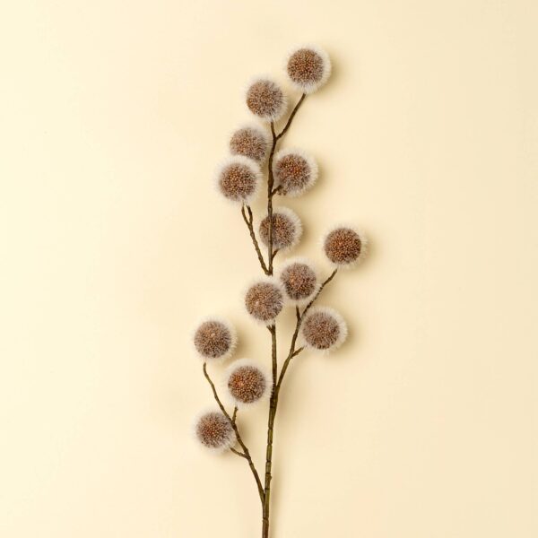 Sycamore Pod Spray