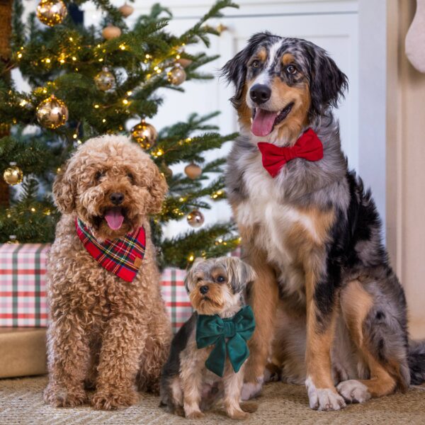 Tartan Plaid Flannel Holiday Dog Bandana: Small - Image 3