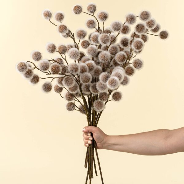 Sycamore Pod Spray - Image 2