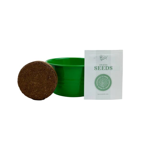 Buzzy Seeds Kids Mini Basin - Strawberry Grow Kit - Image 3